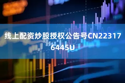 线上配资炒股授权公告号CN223176445U