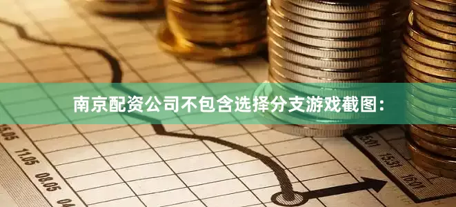 南京配资公司不包含选择分支游戏截图：
